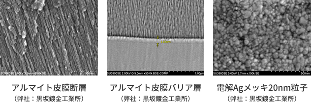 HITACHI製SU3900SE/EDX